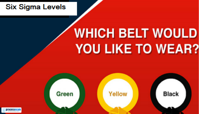 Six Sigma Certification - Which Belt Would You Like to Wear | Process