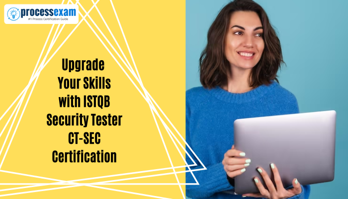 ISTQB Security Tester: Become An Expert in Software Security Testing with  CT-SEC Certification | Process Exam | Process Exam