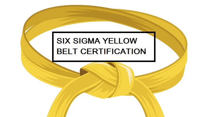six sigma belts exam