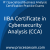 IIBA Certificate in Cybersecurity Analysis (CCA) Practice Exam