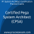 Certified Pega System Architect (CPSA) Practice Exam