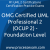 OMG Certified UML Professional 2 (OCUP 2) - Foundation Level Practice Exam