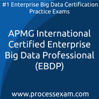 APMG International Certified Enterprise Big Data Professional (EBDP) Practice Ex